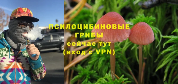 мескалин Балахна