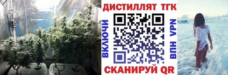 купить  сайты  Олонец  ТГК жижа 