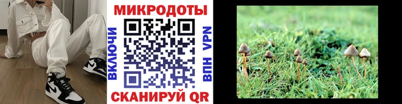 Псилоцибиновые грибы MAGIC MUSHROOMS  дарк нет формула  Олонец  купить наркотики цена  kraken маркетплейс 