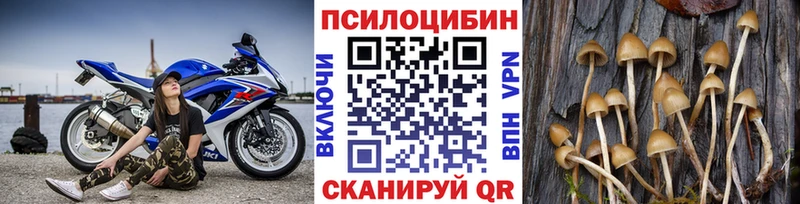 Псилоцибиновые грибы Cubensis Олонец