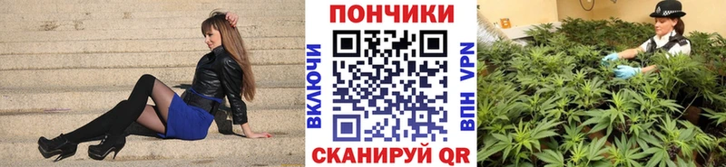 Конопля марихуана  hydra рабочий сайт  Олонец 